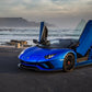 Lambo Doors (Conversion Kit) - shift - knoobs
